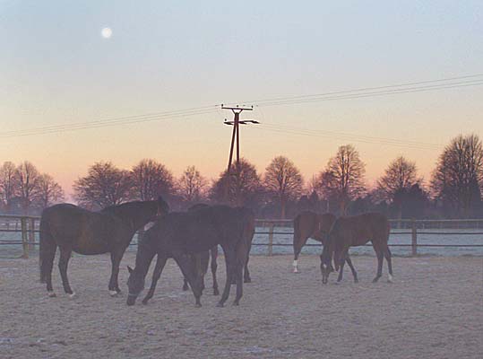 Winterauslauf